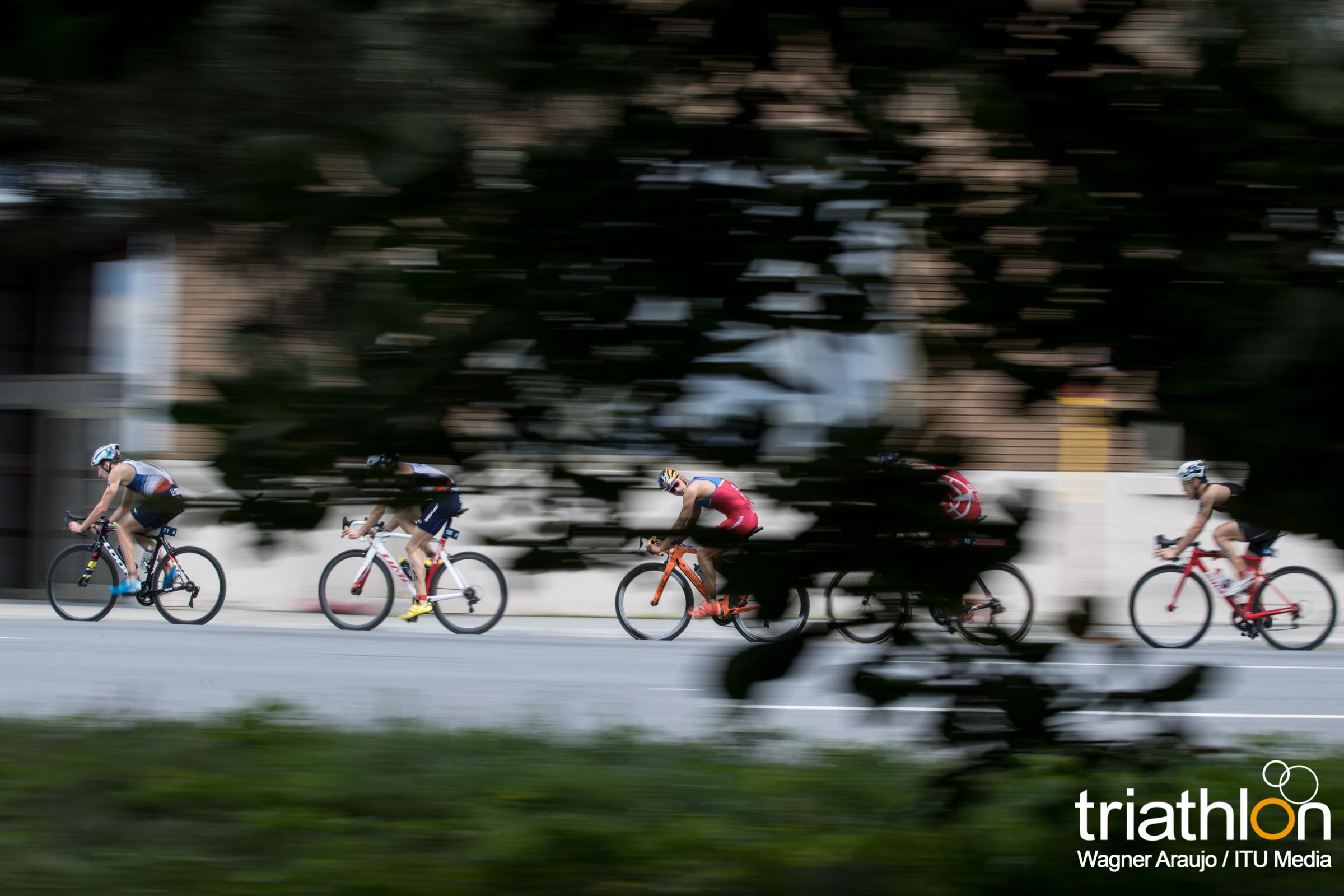 Series Mundiales Triatlón Montreal 2017