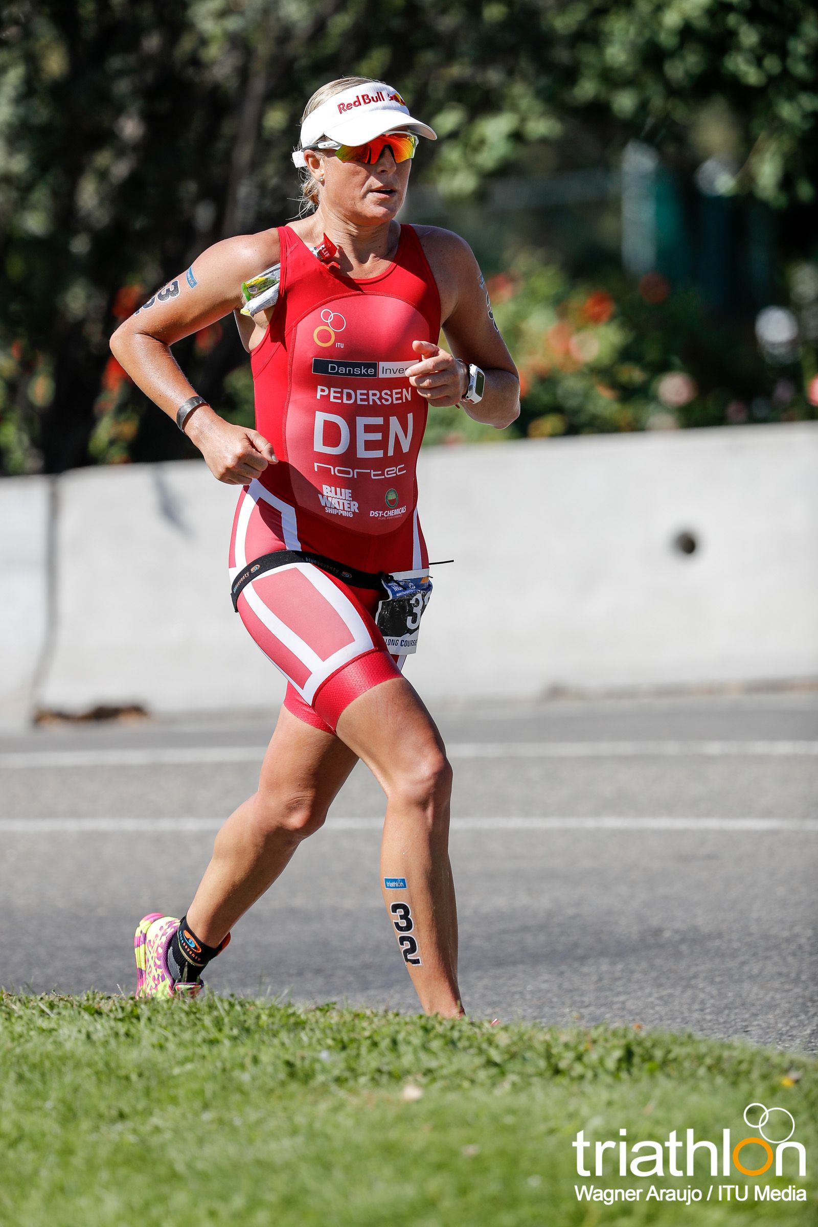 Campeonato del Mundo ITU de Larga Distancia (Penticton)