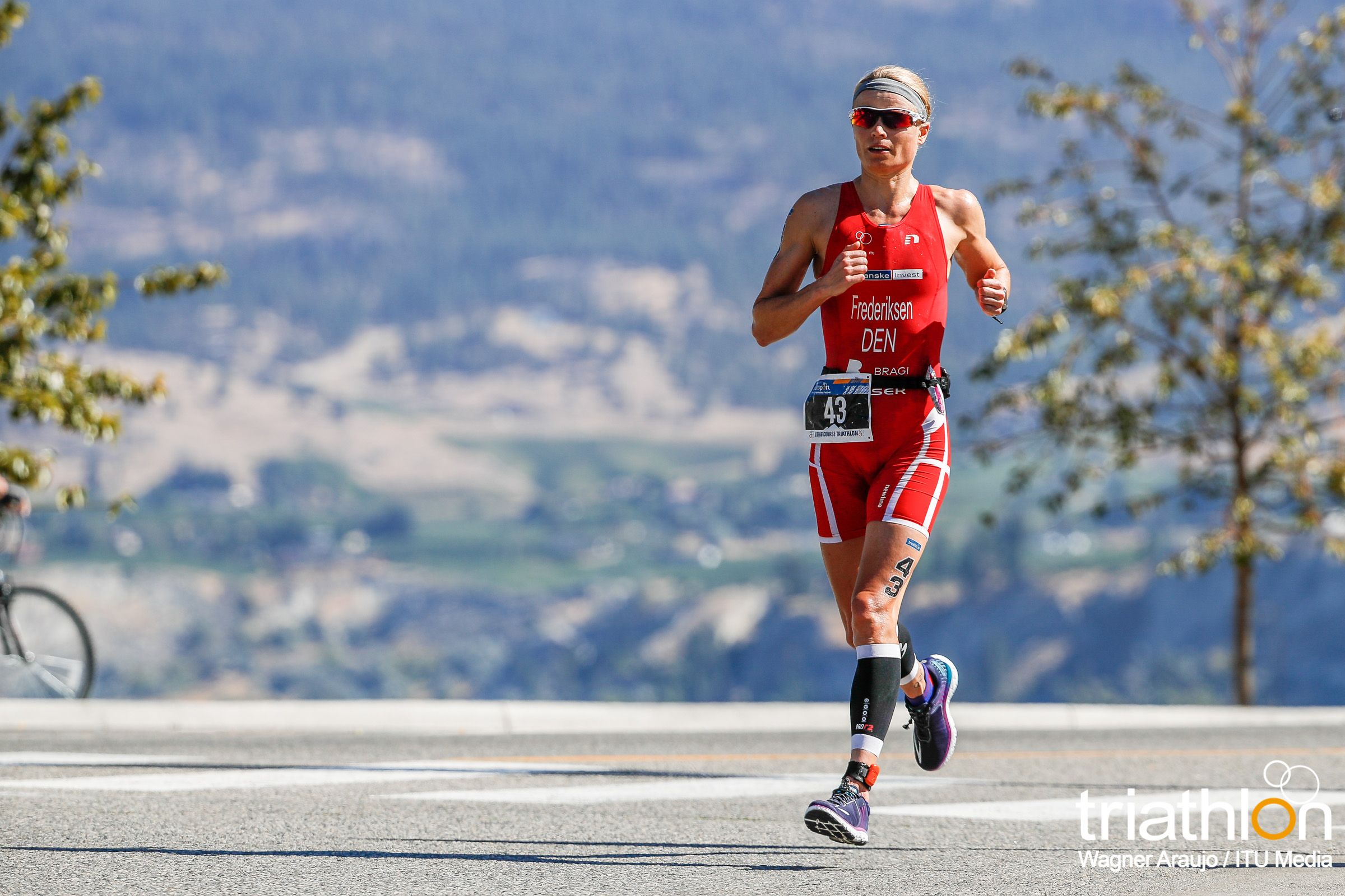 Campeonato del Mundo ITU de Larga Distancia (Penticton)