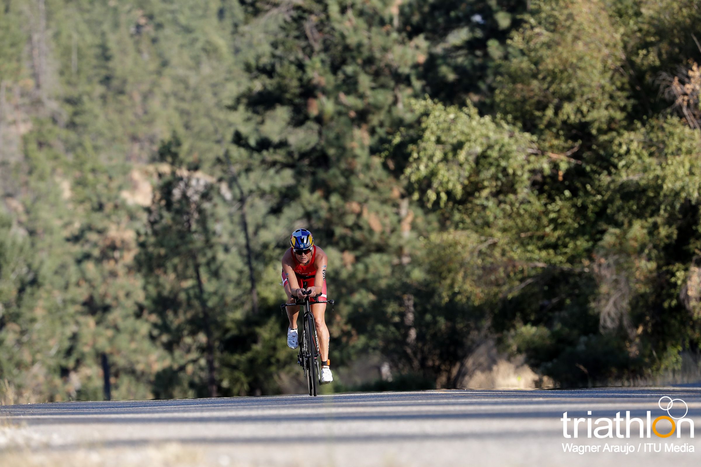 Campeonato del Mundo ITU de Larga Distancia (Penticton)