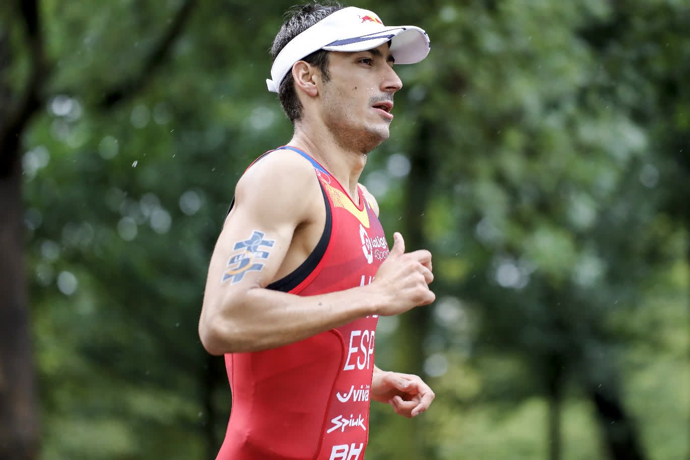 Gran Final Rotterdam Series Mundiales Triatlón 2017