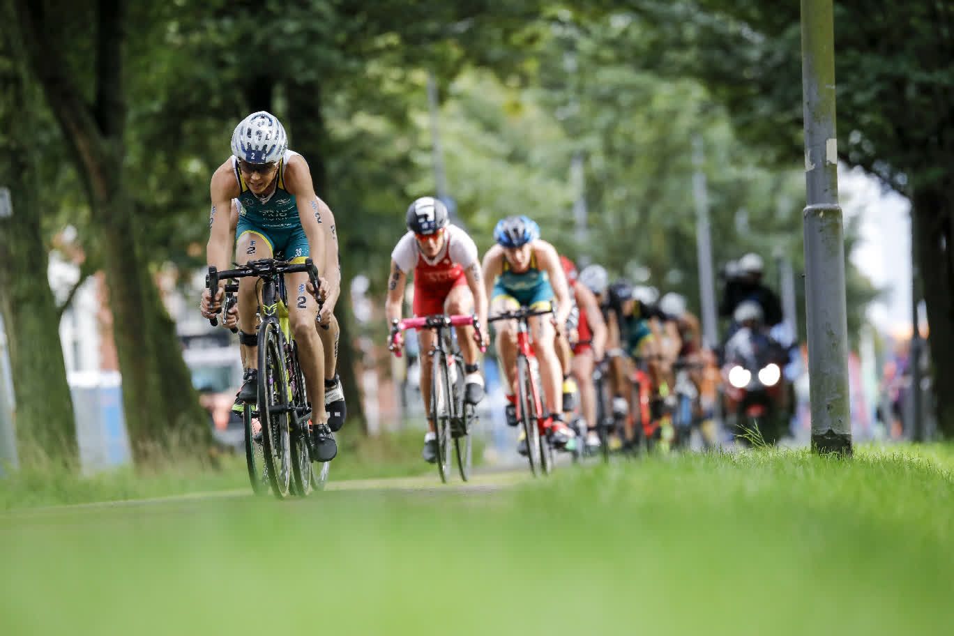 Gran Final Rotterdam Series Mundiales Triatlón 2017 (élite femenina)