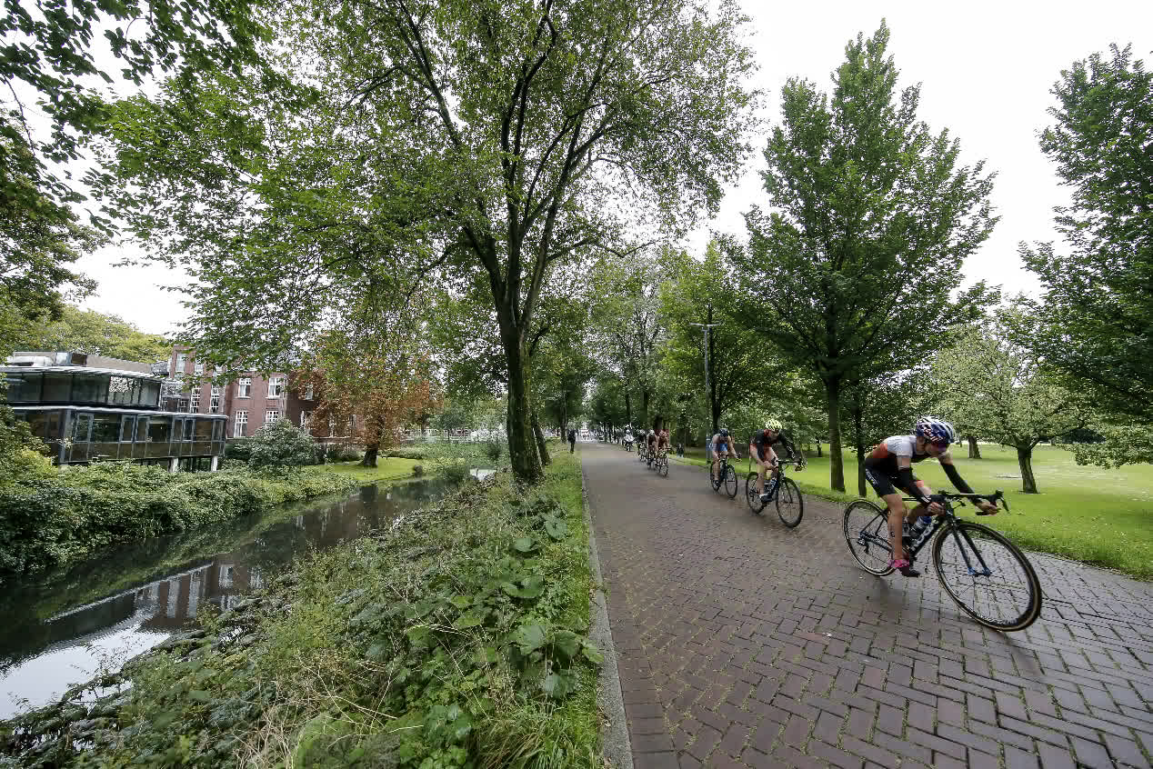 Gran Final Rotterdam Series Mundiales Triatlón 2017 (élite femenina)
