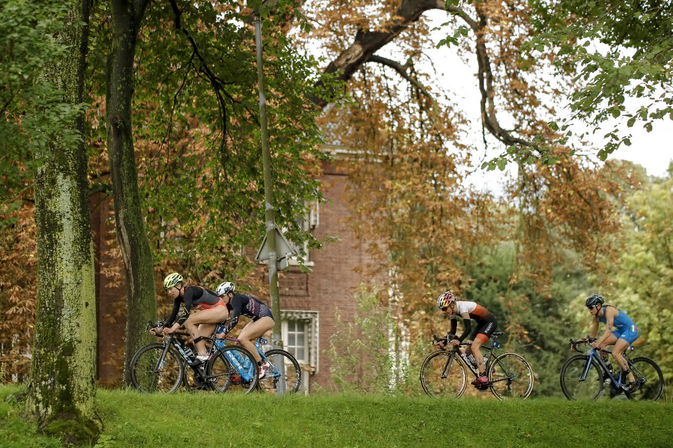 Gran Final Rotterdam Series Mundiales Triatlón 2017 (élite femenina)