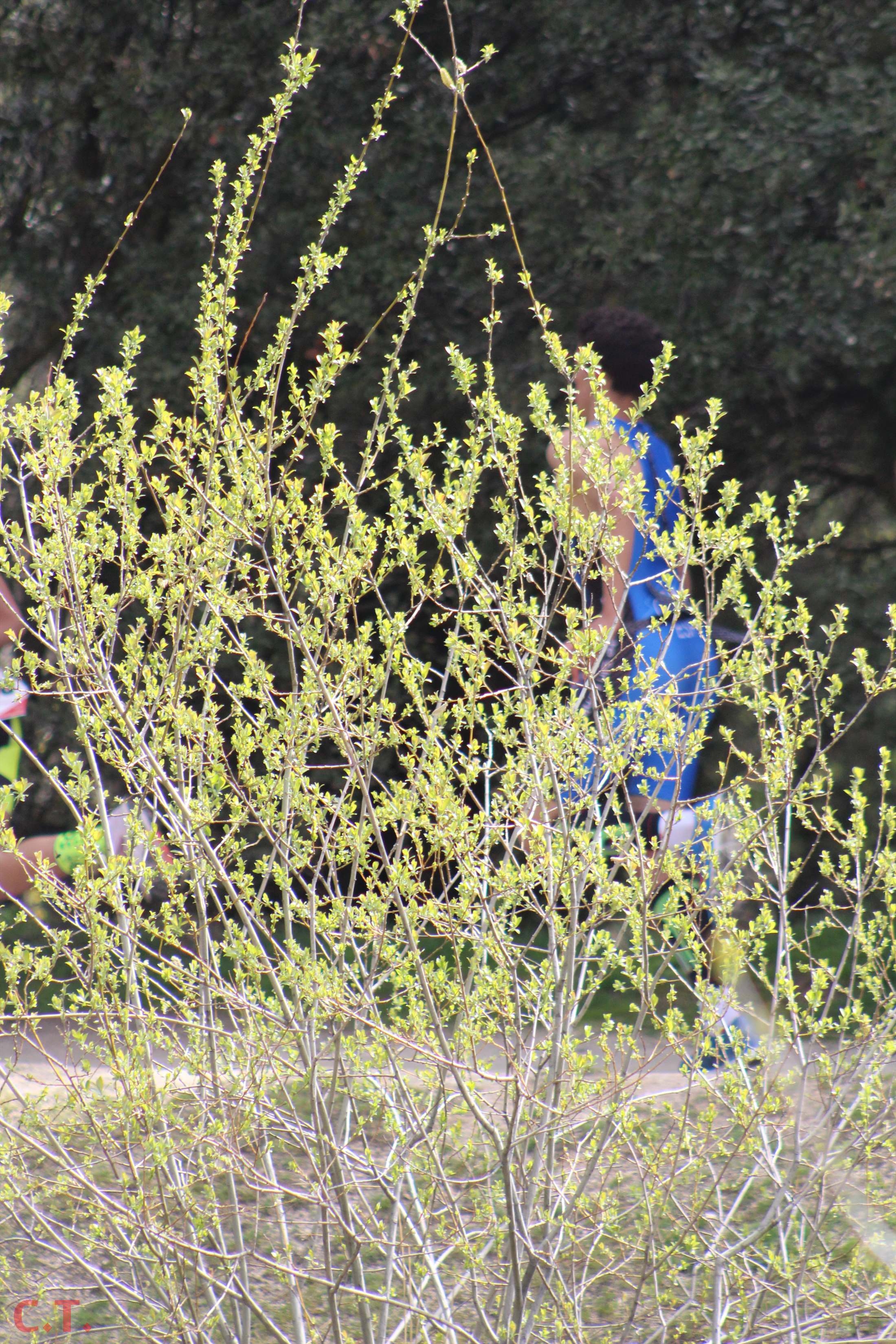 Duatlón Cross Escolar de Las Rozas (alevines e infantiles)