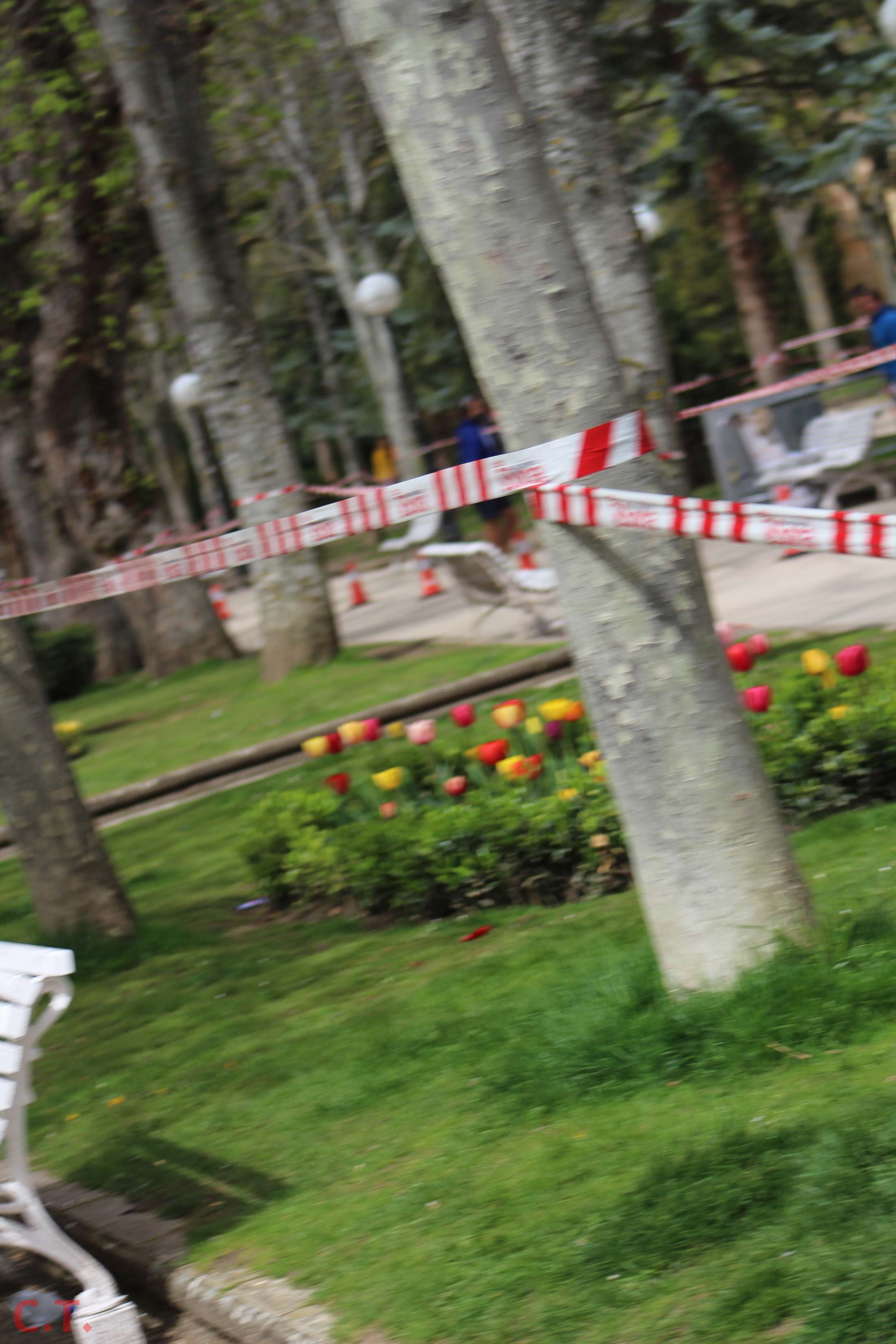 Campeonato de España de Duatlón por Relevos (élite-open femenina)