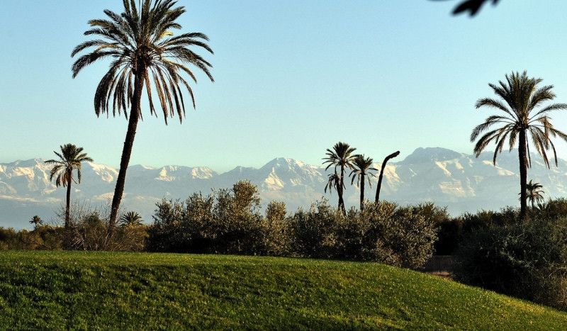 Ironman aterriza en Marruecos en 2019 con el 70.3 de Marrakech