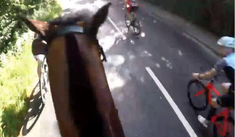 El triatleta que golpeó a un caballo en plena carrera tendrá que pagar una multa  