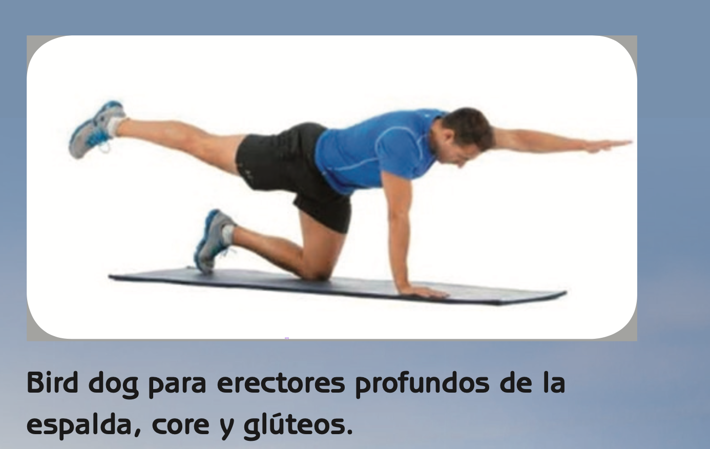 El entrenamiento para poder aguantar acoplado en 'la cabra'. El entrenamiento para poder aguantar acoplado en 'la cabra'.