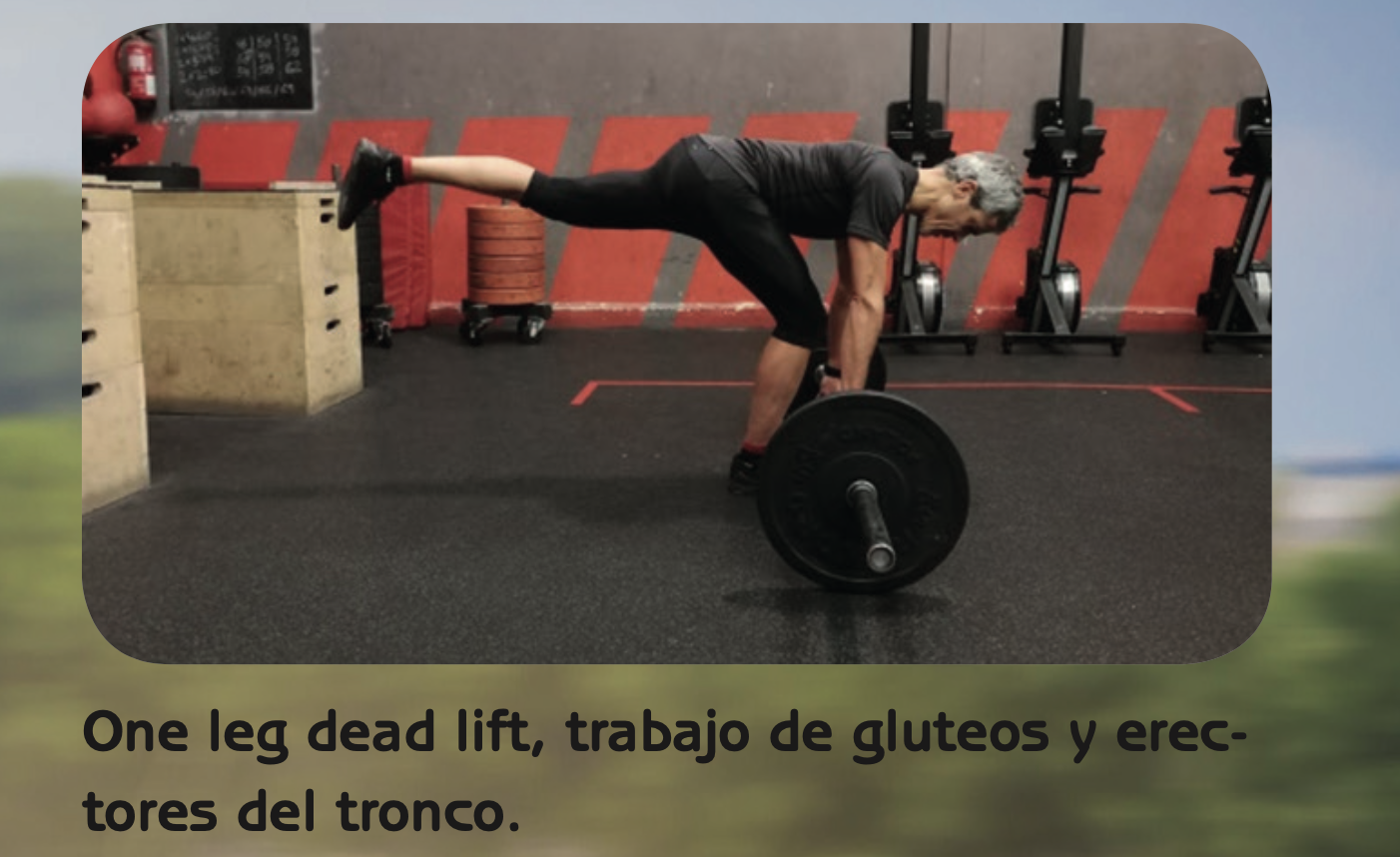 El entrenamiento para poder aguantar acoplado en 'la cabra'. El entrenamiento para poder aguantar acoplado en 'la cabra'.