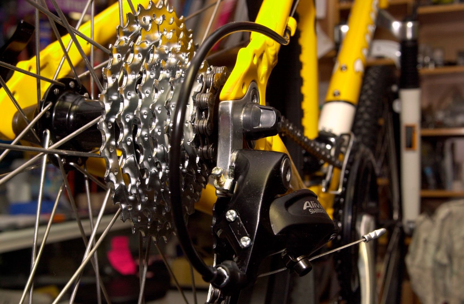 Vorágine por la bicicleta en plena pandemia: "Ahora es complicado conseguir producto" . Vorágine por la bicicleta en plena pandemia: "Ahora es complicado conseguir producto" .