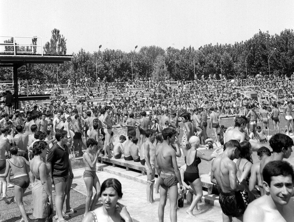 Ganas de piscina. Ganas de piscina.