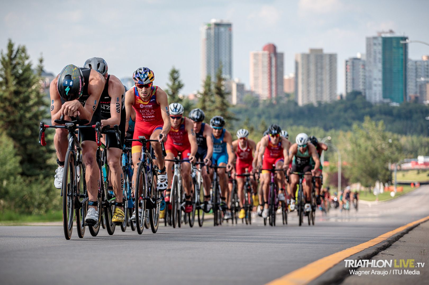 WTS Edmonton 2019