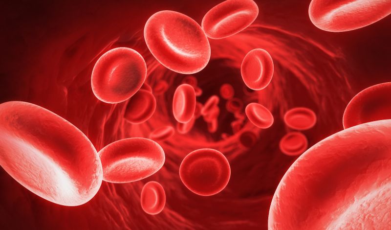 Nutrientes que aumentan el Hematocrito