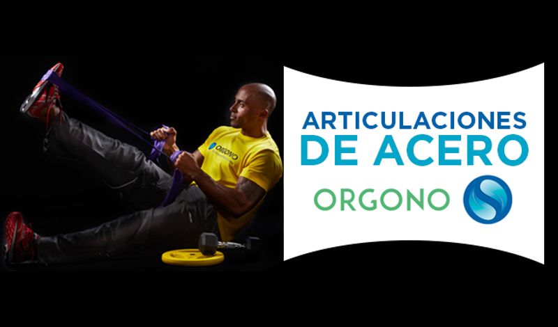 Orgono: Articulaciones de Acero