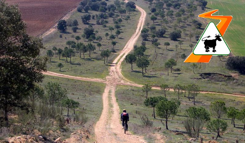 Duatlón Vías Pecuarias