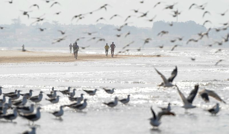 Desafío Doñana: un triatlón con encanto