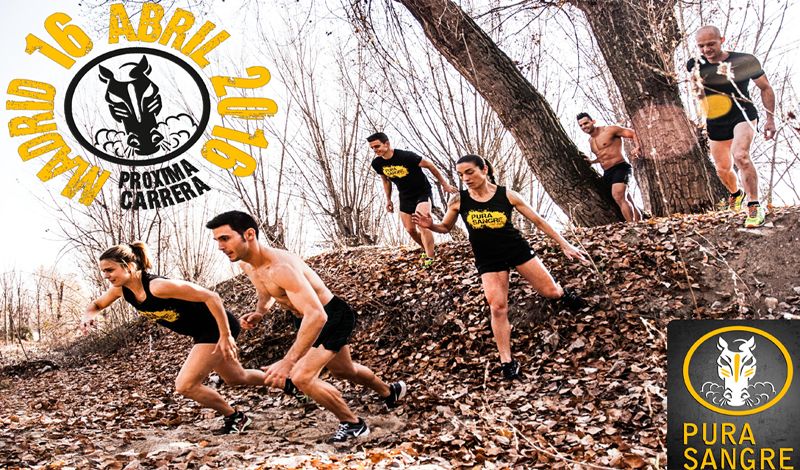 Pura Sangre The Race… y supera todos los obstáculos