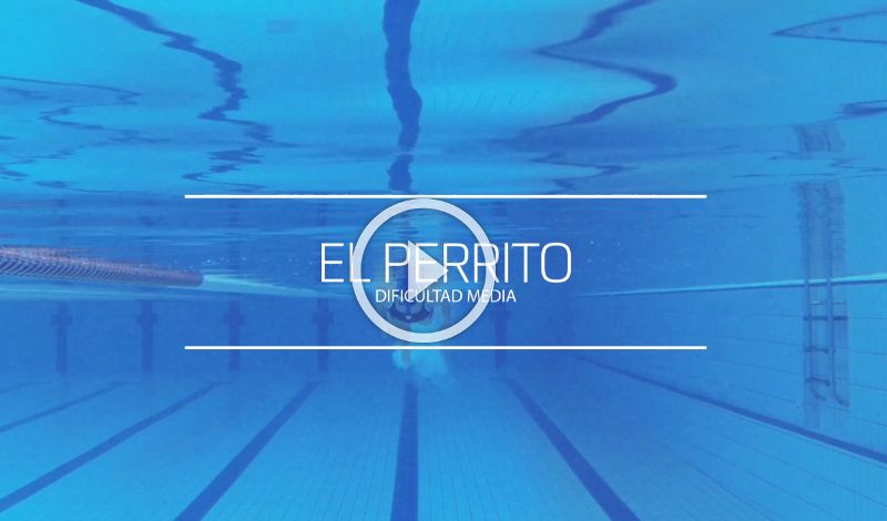 Vídeo: El Perrito