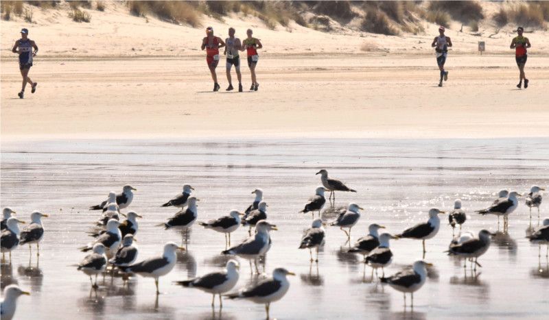 El Desafío Doñana te espera, al mejor precio