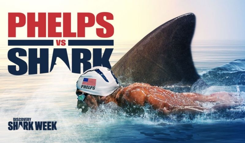 Michael Phelps pierde su duelo contra el tiburón blanco