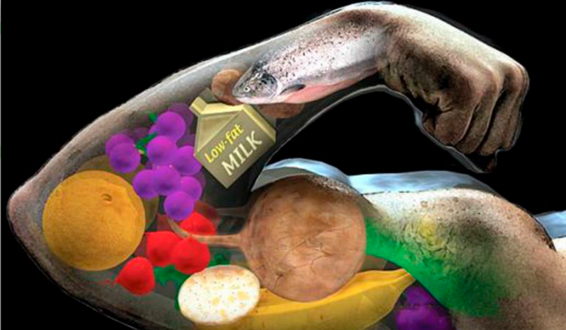 Todo lo que necesitas saber sobre las proteínas