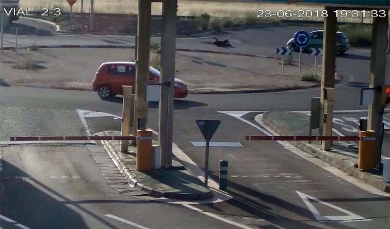 (VÍDEO) Detenido por arrollar a un ciclista en Palma y darse a la fuga