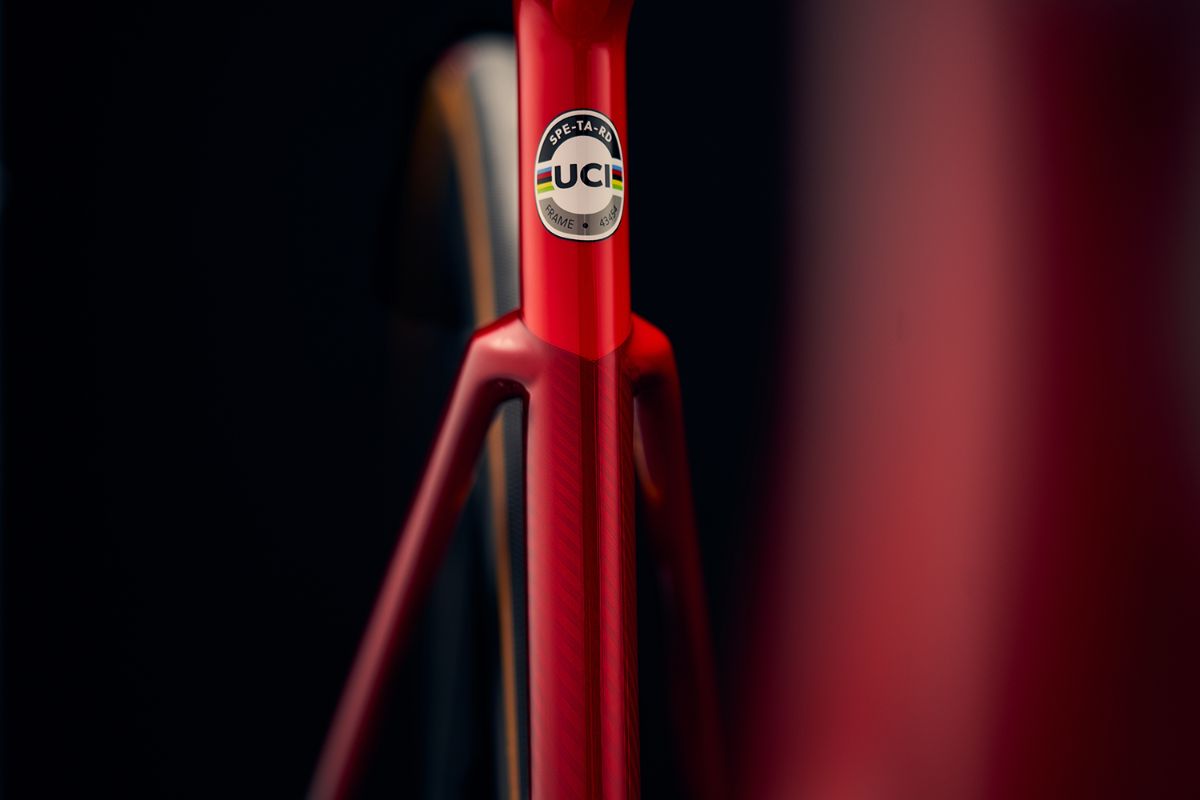Así es la nueva máquina de Javier Gómez Noya, la Tarmac SL7: "Una bicicleta para dominarlas a todas"- Así es la nueva máquina de Javier Gómez Noya, la Tarmac SL7: "Una bicicleta para dominarlas a todas"-