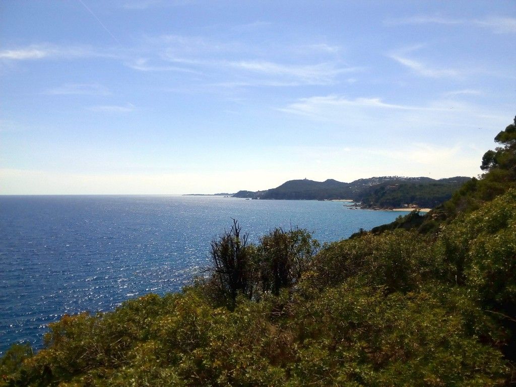 Vista panorámica de uno de los tramos balizados que se pueden hacer a nado.