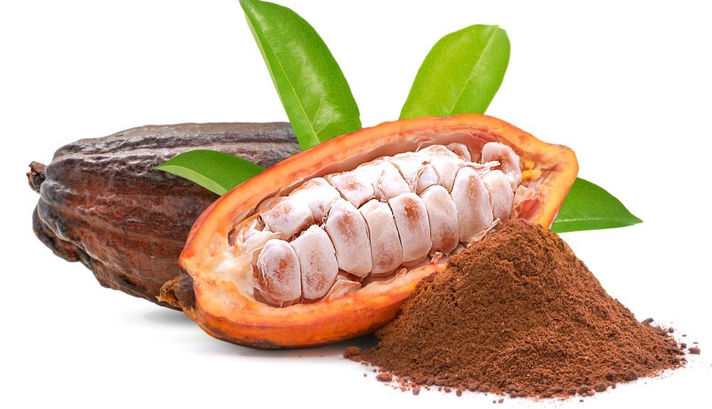 Cacao, fruta y en polvo