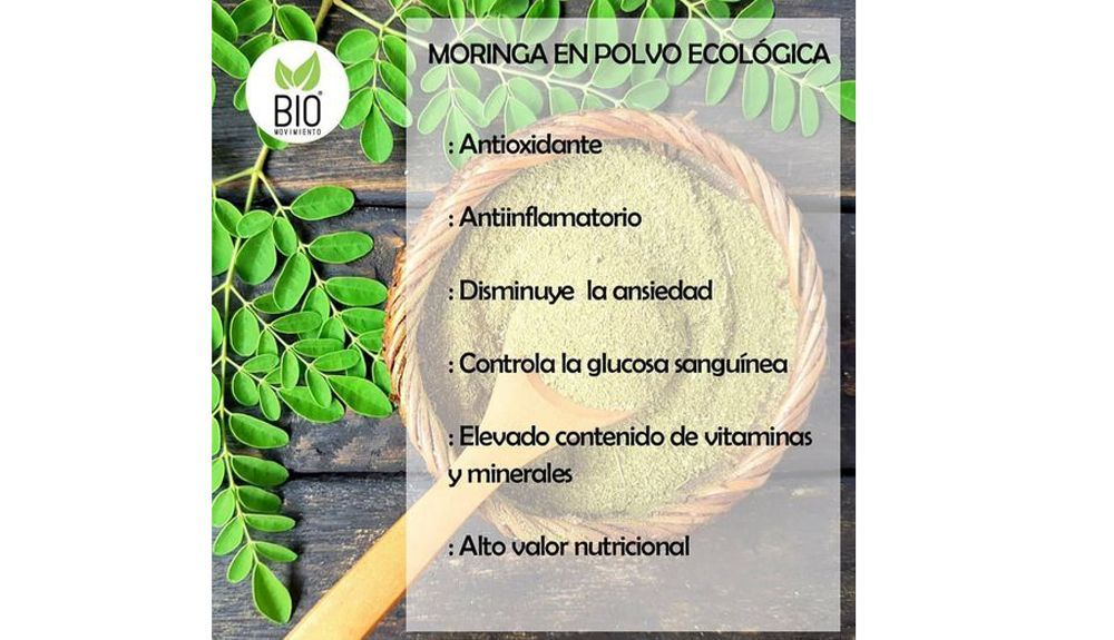 Propiedades de la moringa Propiedades de la moringa