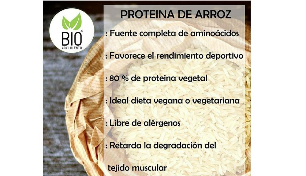 Beneficios de la proteína de arroz movimientoBIO Beneficios de la proteína de arroz movimientoBIO