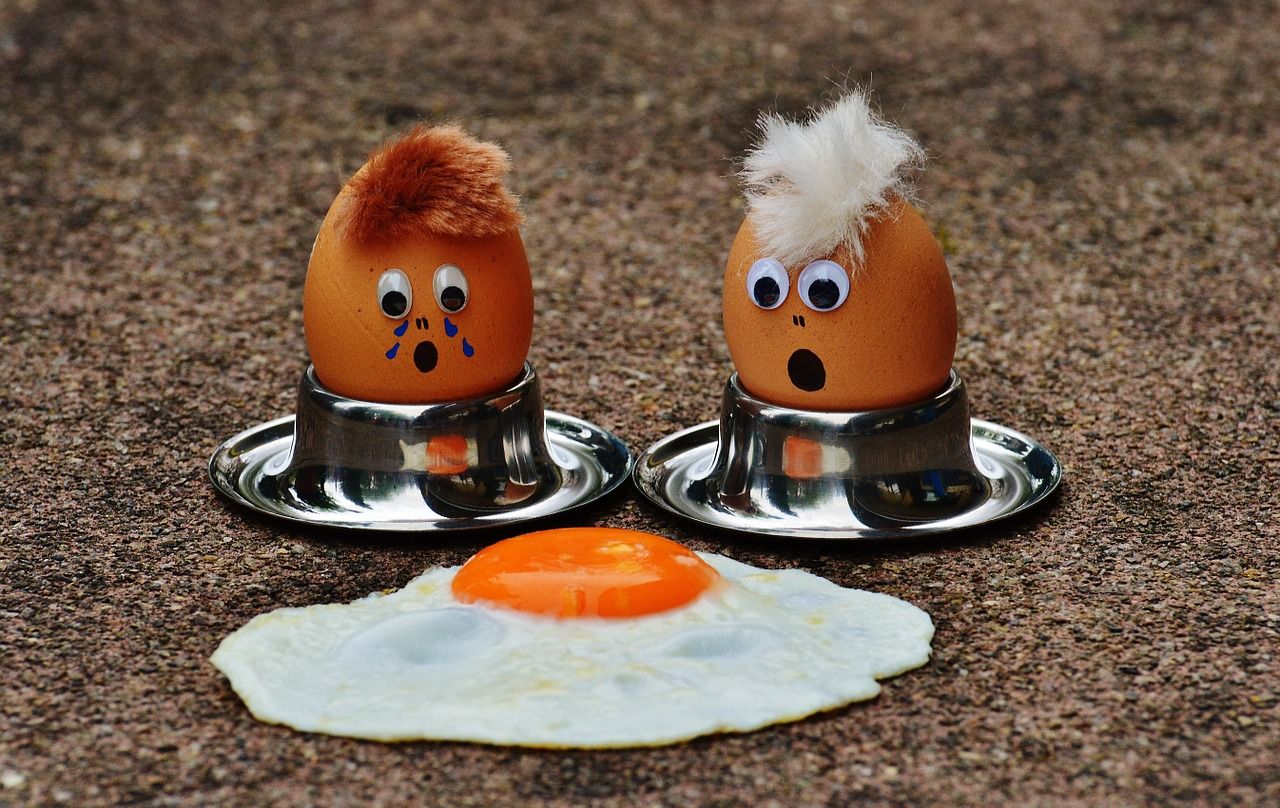 egg 1364869 1280 egg 1364869 1280