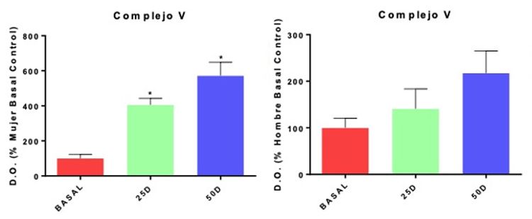 grafico 2 grafico 2