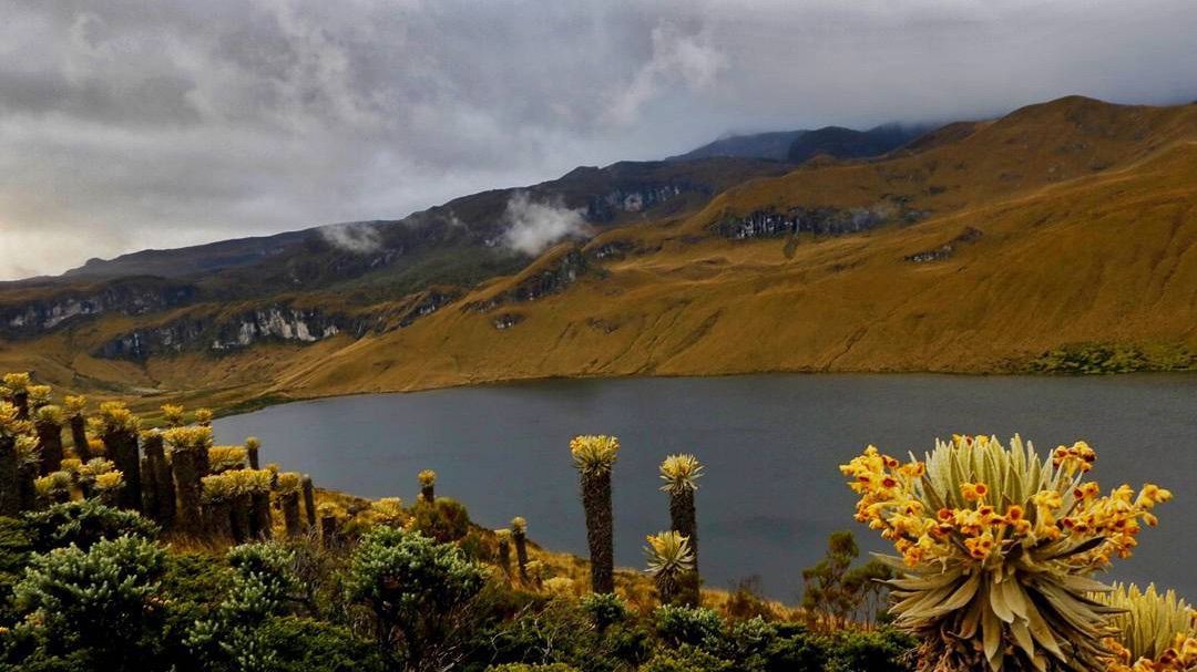 Un triatlón... en las nubes: así será el TRI a mayor altitud (4.000 m) del mundo.