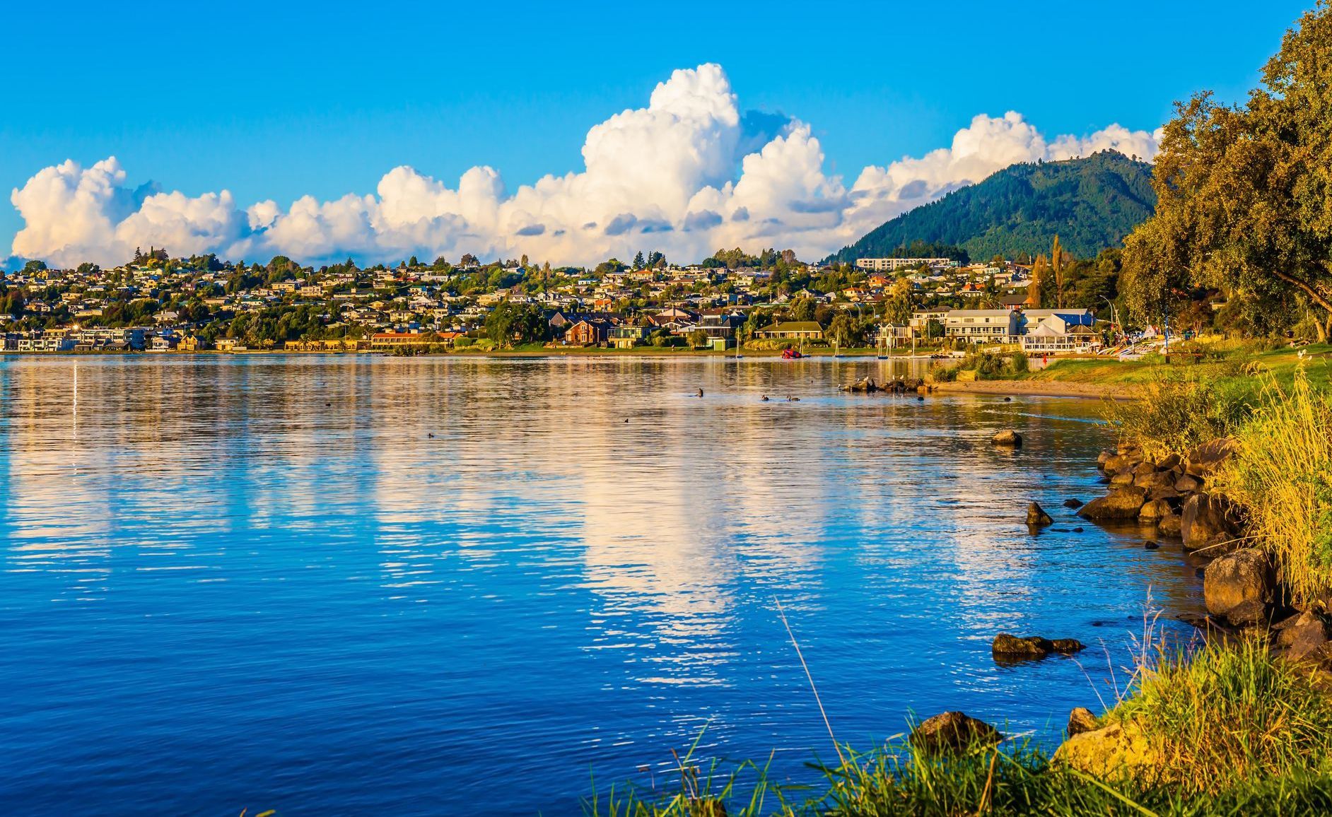 El Mundial IRONMAN 70.3 de 2024 será en Nueva Zelanda.