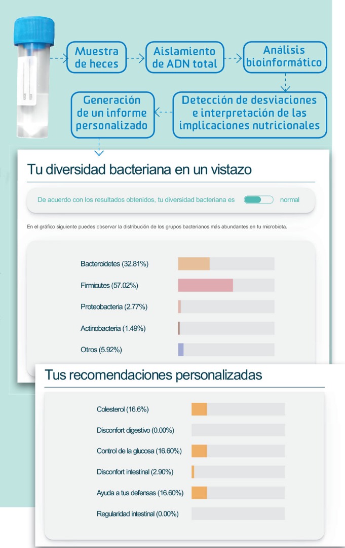 Alimentación y microbiota: rendimos como comemos