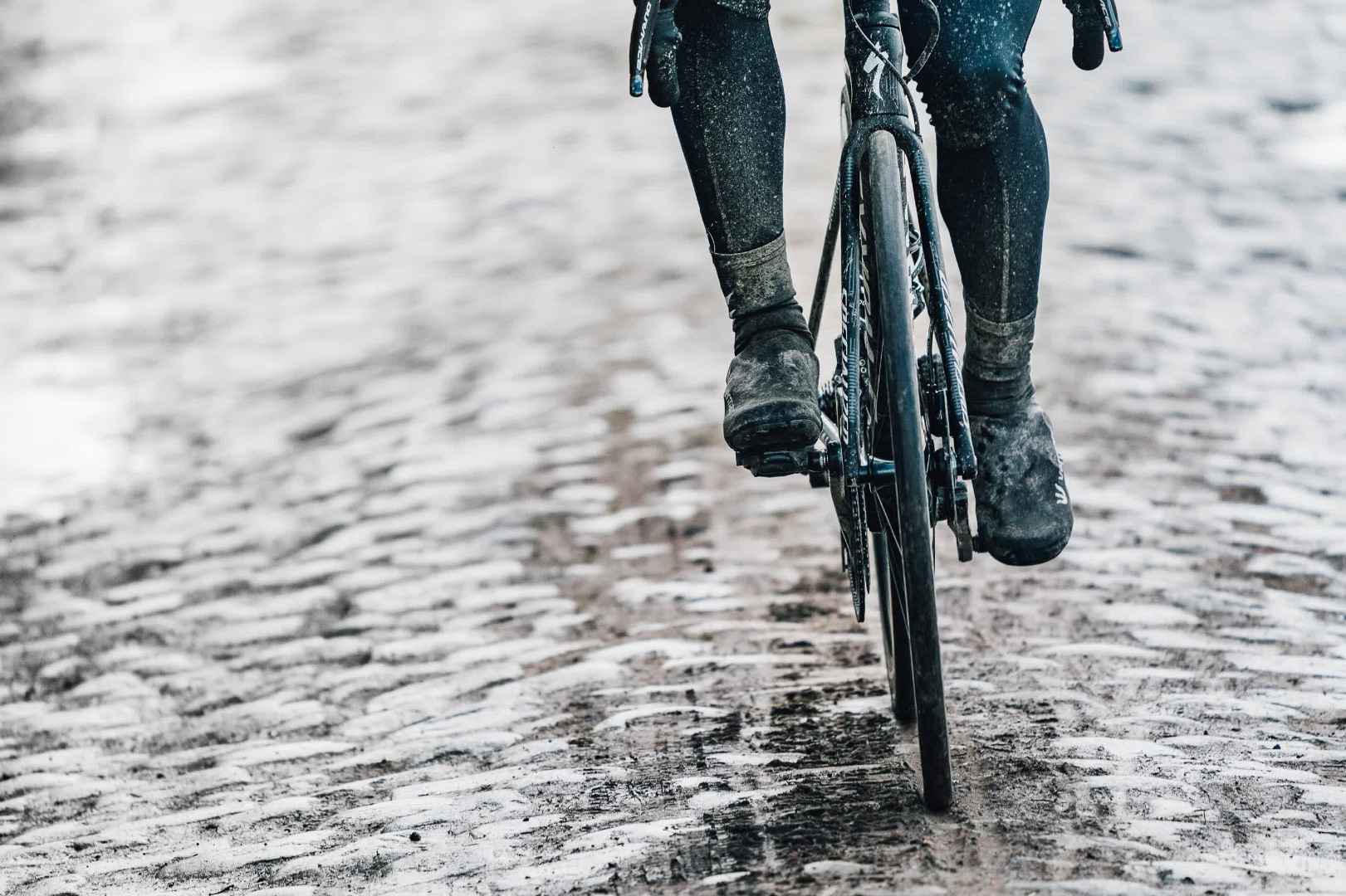 Así es la nueva Specialized Roubaix