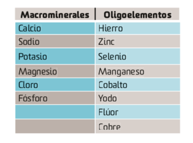 Minerales para rendir al máximo